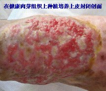 GA黄金甲(中国)最新官方网站