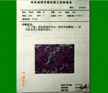 GA黄金甲(中国)最新官方网站