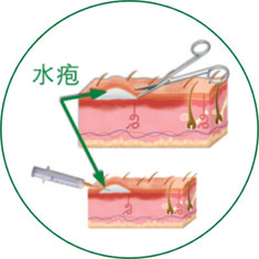 GA黄金甲(中国)最新官方网站