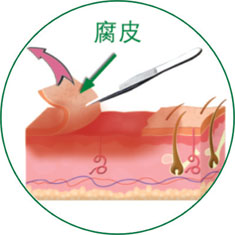 GA黄金甲(中国)最新官方网站