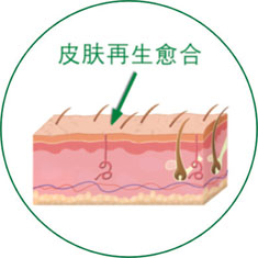 GA黄金甲(中国)最新官方网站