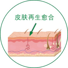 GA黄金甲(中国)最新官方网站