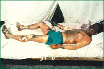 GA黄金甲(中国)最新官方网站