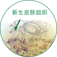GA黄金甲(中国)最新官方网站