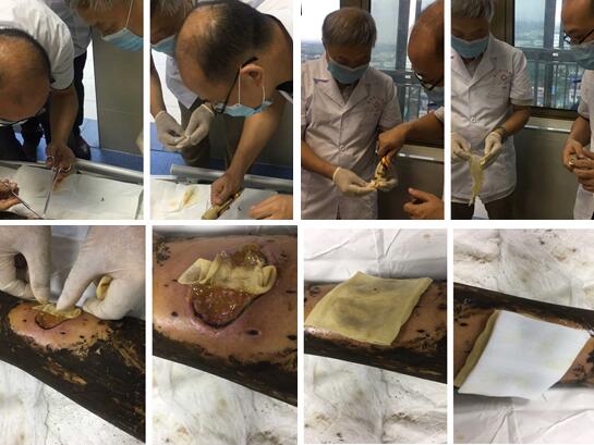 GA黄金甲(中国)最新官方网站