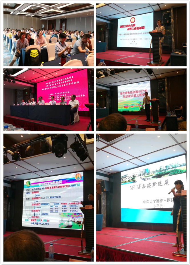 GA黄金甲(中国)最新官方网站