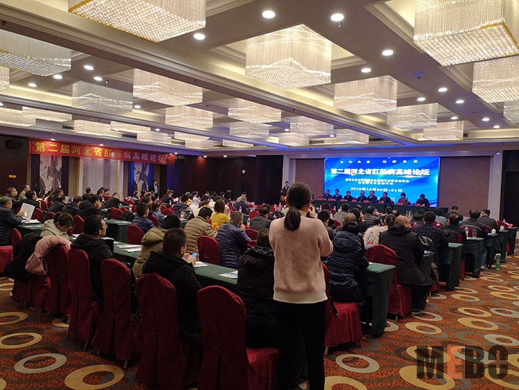 GA黄金甲(中国)最新官方网站