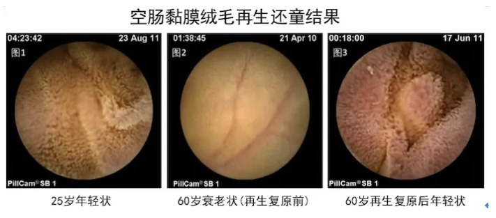 GA黄金甲(中国)最新官方网站