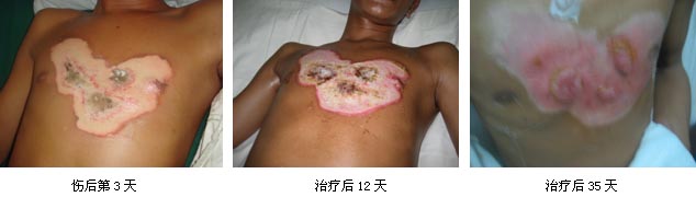 GA黄金甲(中国)最新官方网站