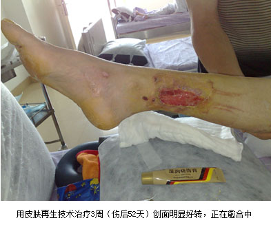 GA黄金甲(中国)最新官方网站