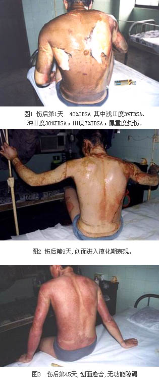 GA黄金甲(中国)最新官方网站