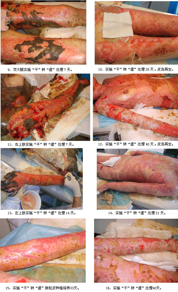 GA黄金甲(中国)最新官方网站