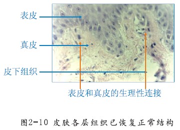 GA黄金甲(中国)最新官方网站