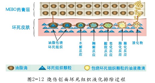 GA黄金甲(中国)最新官方网站