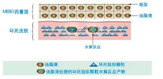 GA黄金甲(中国)最新官方网站