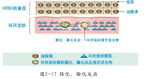 GA黄金甲(中国)最新官方网站