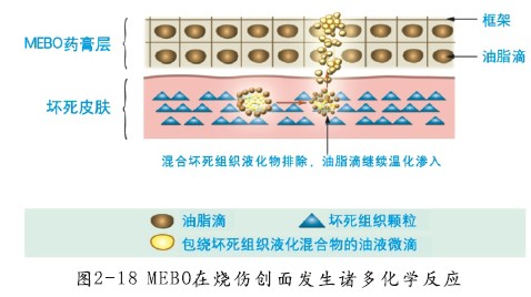 GA黄金甲(中国)最新官方网站