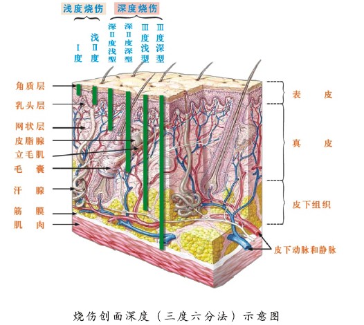 GA黄金甲(中国)最新官方网站