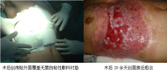 GA黄金甲(中国)最新官方网站