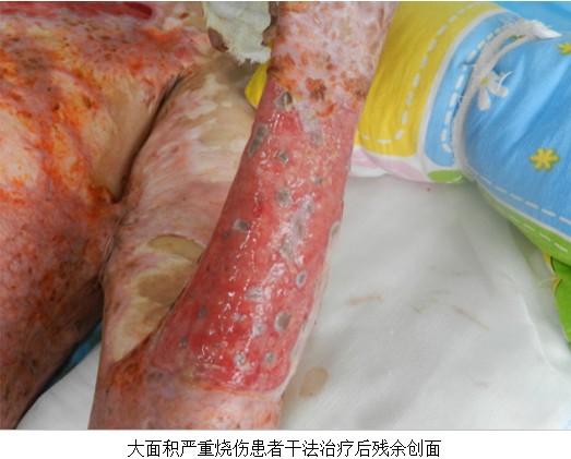 GA黄金甲(中国)最新官方网站