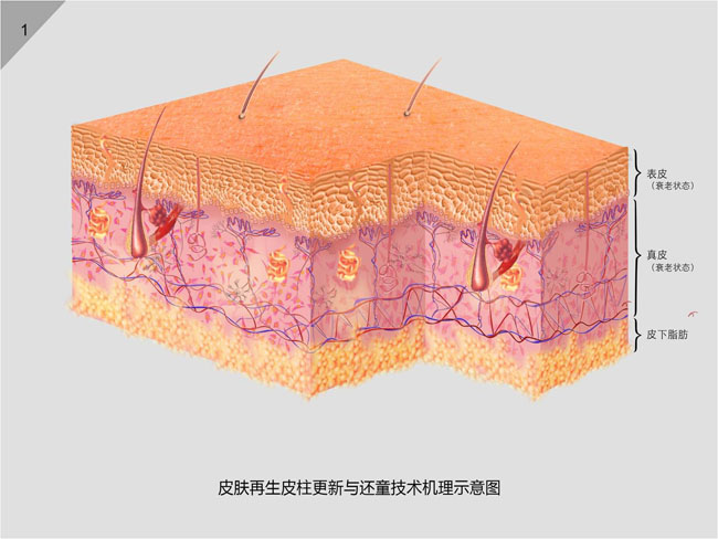 GA黄金甲(中国)最新官方网站