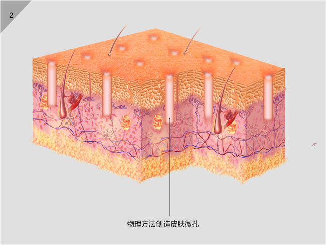 GA黄金甲(中国)最新官方网站