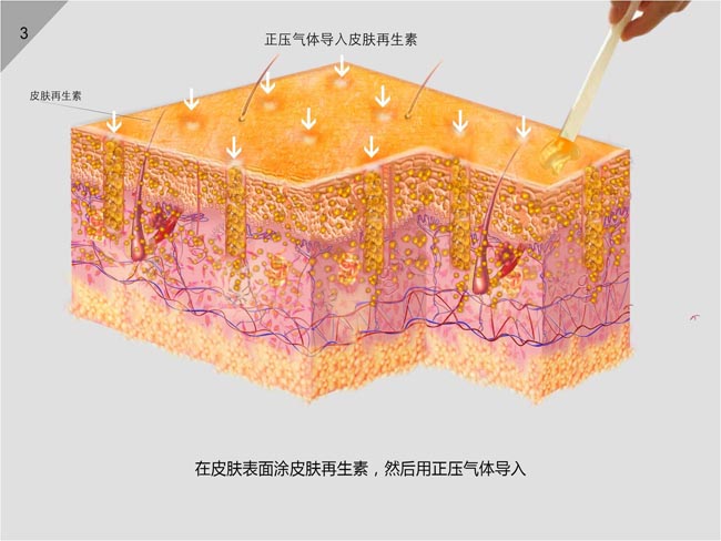 GA黄金甲(中国)最新官方网站