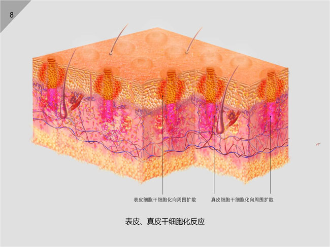 GA黄金甲(中国)最新官方网站