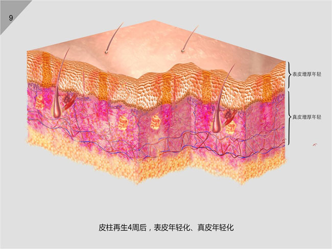 GA黄金甲(中国)最新官方网站