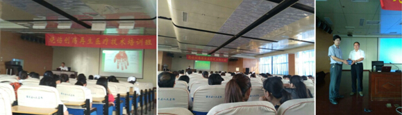 GA黄金甲(中国)最新官方网站