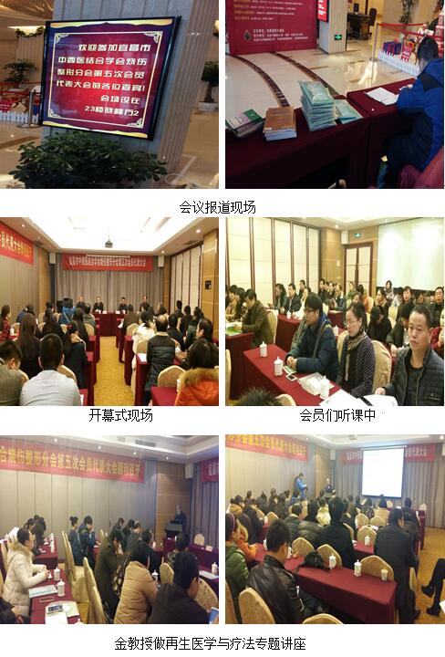 GA黄金甲(中国)最新官方网站
