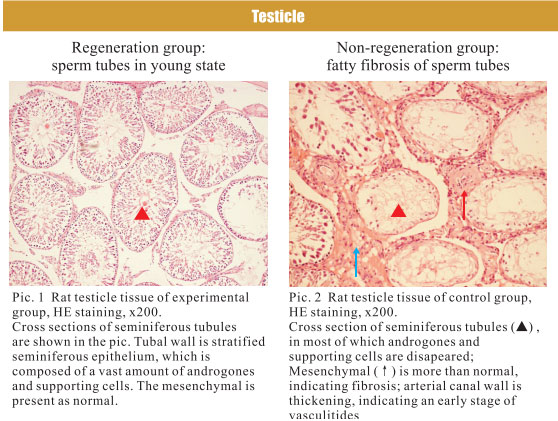 201122116139356