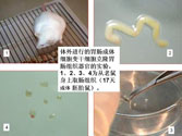 GA黄金甲(中国)最新官方网站